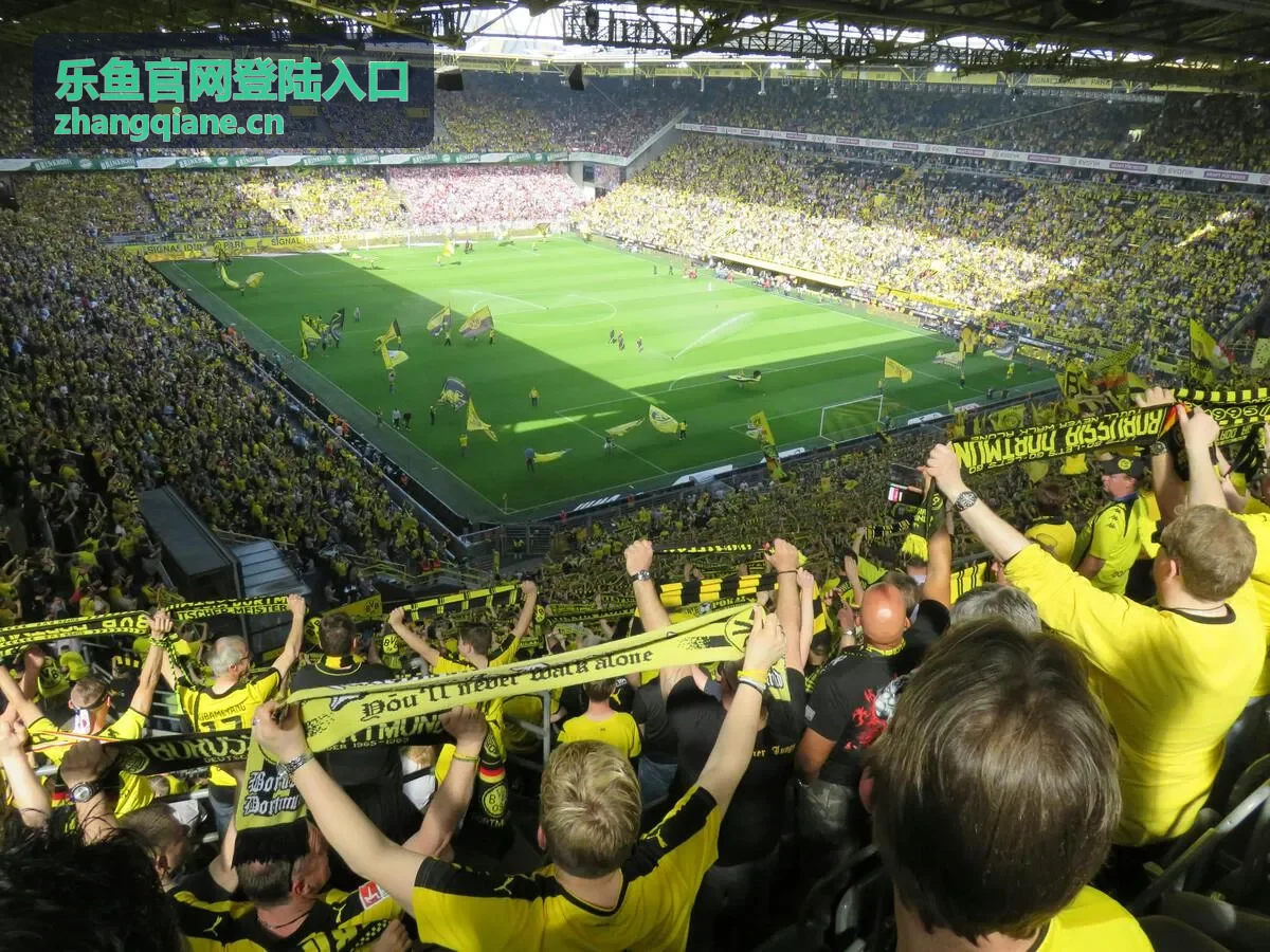 乐鱼官网登陆入口 - 角色扮演推荐