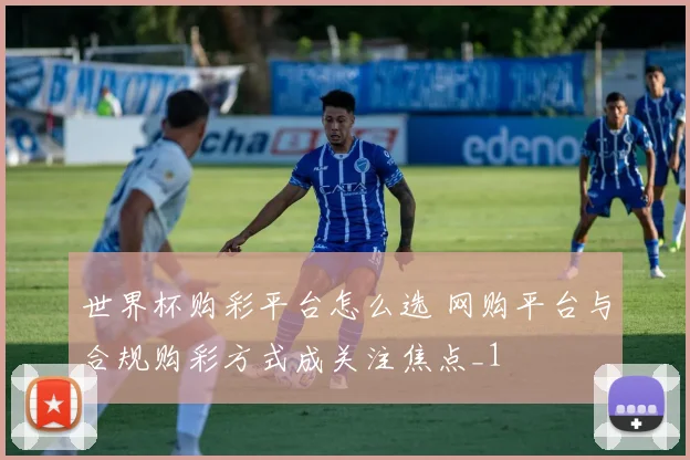 世界杯购彩平台怎么选 网购平台与合规购彩方式成关注焦点_1
