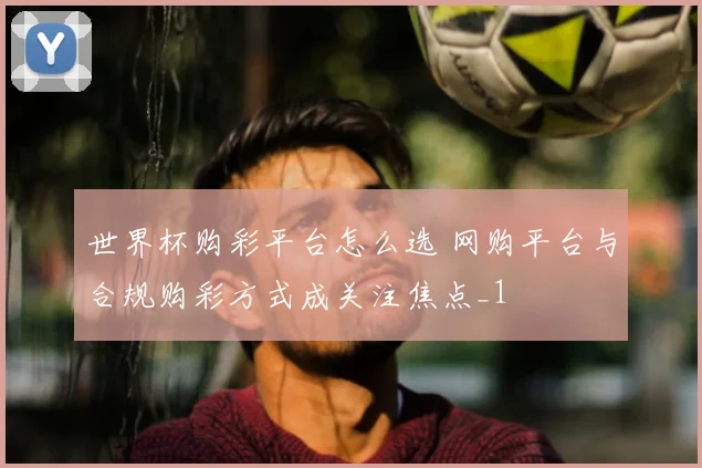 世界杯购彩平台怎么选 网购平台与合规购彩方式成关注焦点_1