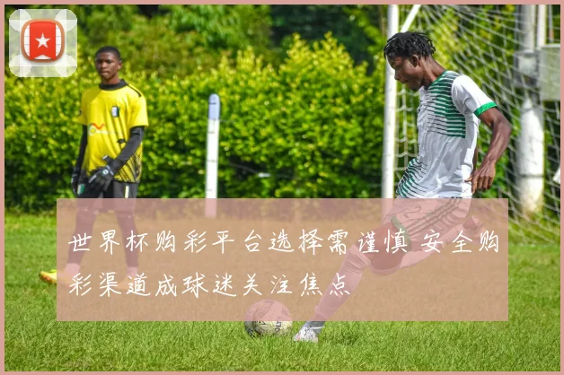 世界杯购彩平台选择需谨慎 安全购彩渠道成球迷关注焦点