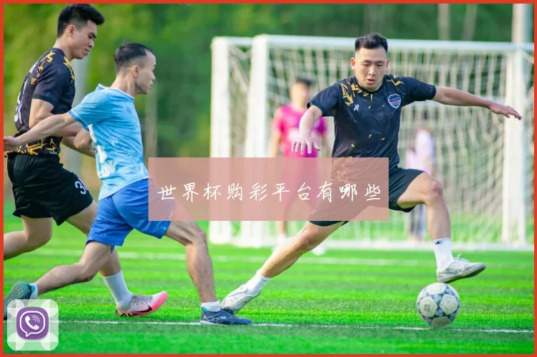 世界杯购彩平台有哪些